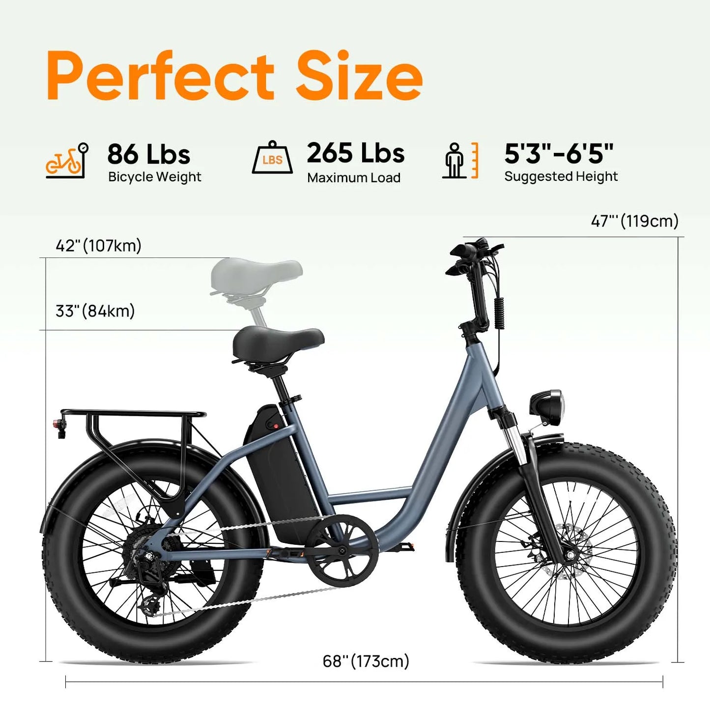20"x4 Fat Tire Adult Electric Bike E20 PRO | 250W Peak Motor 48V 15.6Ah Removable Battery 7-Speed Gears Max 45KMH E-Bike