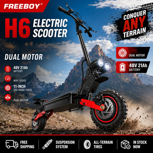 FREEBOY H6 Electric Scooter Dual Motor 48V21AH Battery Foldable 11-inch Off-Road Tire Adult All-Terrain Commuting Electric Scooter